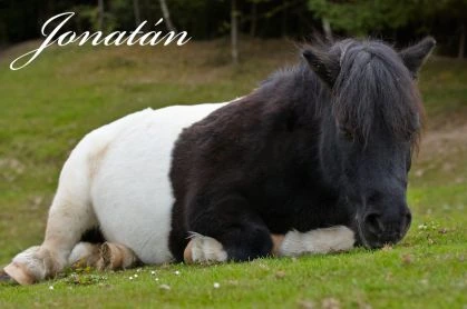 Jonatán